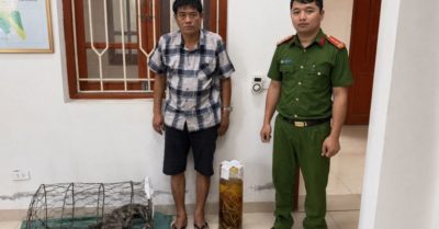 Người đàn ông ở Ninh Bình bị khởi tố vì ngâm rượu tay gấu
