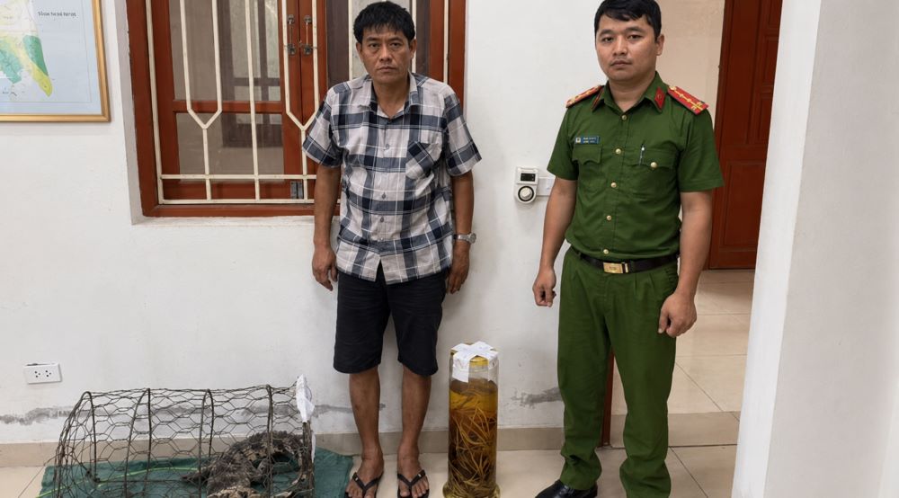 Ngâm rượu tay gấu, người đàn ông bị khởi tố vì hành vi liên quan đến động vật hoang dã. Xem thông tin vụ việc và tang vật bị thu giữ.