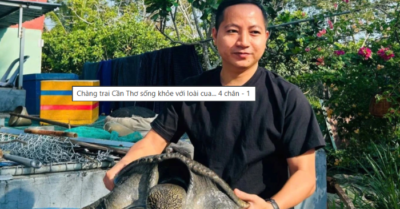 Chàng trai Cần Thơ thành công nhờ mô hình nuôi cua đinh