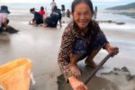 Nghề cào ngao tự nhiên: Cuộc mưu sinh theo nhịp thủy triều ở biển Quỳnh, Nghệ An
