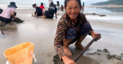 Nghề cào ngao tự nhiên: Cuộc mưu sinh theo nhịp thủy triều ở biển Quỳnh, Nghệ An