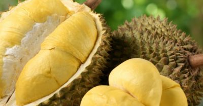 Mê sầu riêng nhưng đang mắc những bệnh này? Bác sĩ khuyên bạn nên dừng lại