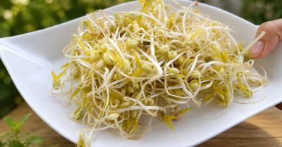 Giá đỗ bữa sáng hỗ trợ não bộ, miễn dịch và đường huyết
