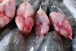 Cảnh báo thủy ngân: Khoảng cách lớn giữa cá hồi, cá kiếm và cá mập