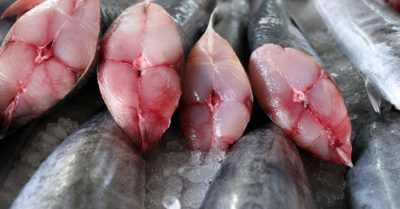 Cảnh báo thủy ngân: Khoảng cách lớn giữa cá hồi, cá kiếm và cá mập