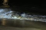 Bãi biển Queensland đóng cửa sau khi các quả cầu kim loại bí ẩn dạt vào bờ