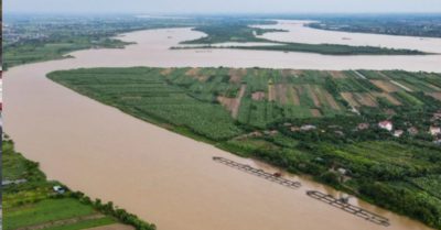 Nông dân U60 bán hàng trăm tấn cá nhờ công nghệ số và AI