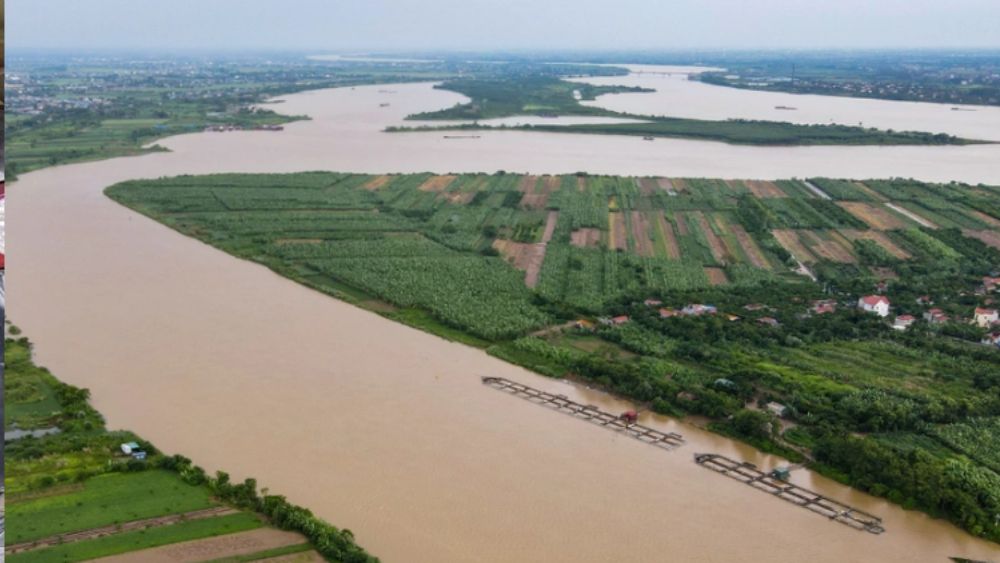 Bè cá sông Luộc của nông dân U60 ứng dụng công nghệ số
