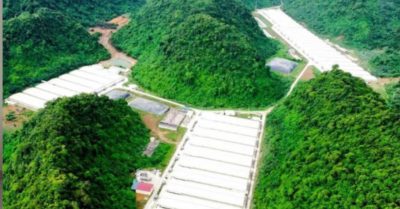 Ba công nhân tử vong sau tai nạn nghiêm trọng tại trang trại chăn nuôi ở Thanh Hóa