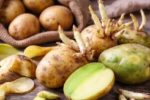 Bốn người nhập viện sau bữa canh khoai tây mọc mầm, một người không qua khỏi