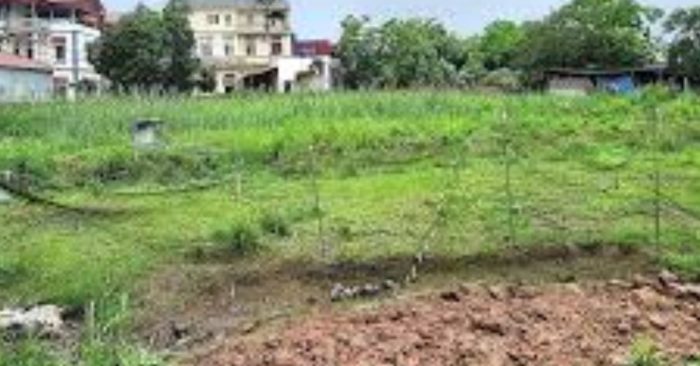 Em trai có sổ đỏ 20 năm vẫn bị kiện chia đất thừa kế