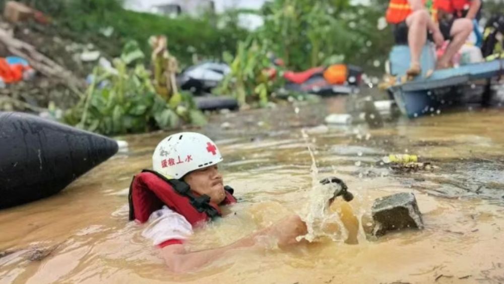 Sư tử chết đuối, rắn độc sổng chuồng sau mưa lũ