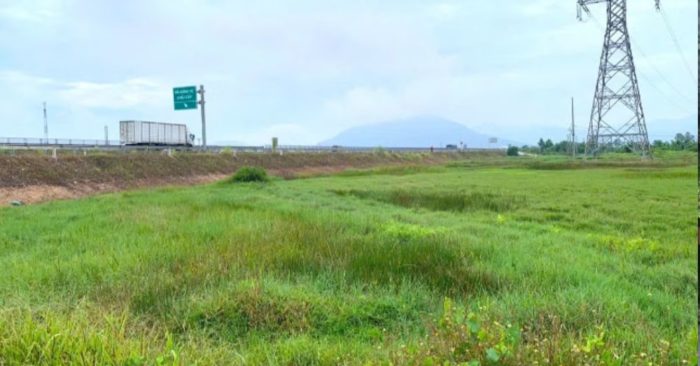 Ruộng hai vụ ven cao tốc Bắc - Nam bỏ hoang vì thiếu nước