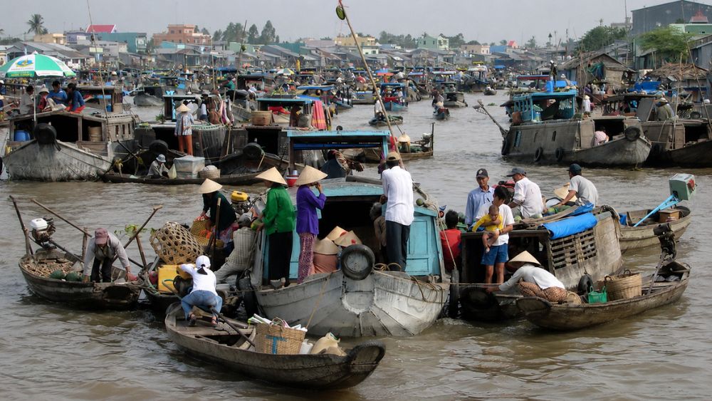 Lập đề án bảo tồn di sản sống chợ nổi Cái Răng nhằm gìn giữ giá trị văn hóa sông nước miền Tây và phát triển du lịch bền vững.