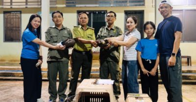 Hai hộ dân tại Đồng Nai giao nộp tê tê và diều hoa