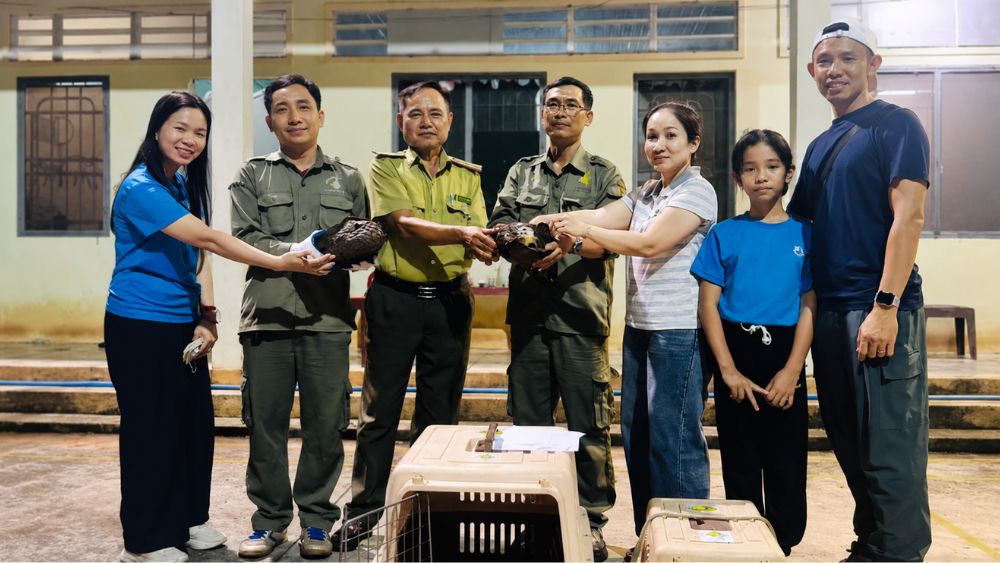 Hai hộ dân giao nộp cá thể động vật rừng quý hiếm cho lực lượng chức năng, góp phần bảo vệ động vật hoang dã.