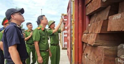 1.193kg ngà voi nằm trong những hộp gỗ khai báo là gỗ xẻ