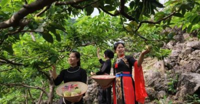 Na La Hiên mở rộng giá trị nông sản bằng hướng đi gắn với du lịch