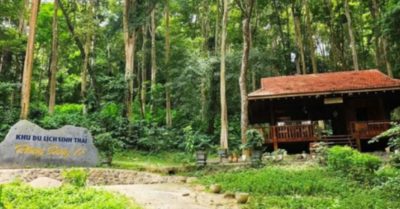 Rừng săng lẻ xanh mát giữa vùng đất từng nóng nhất Việt Nam