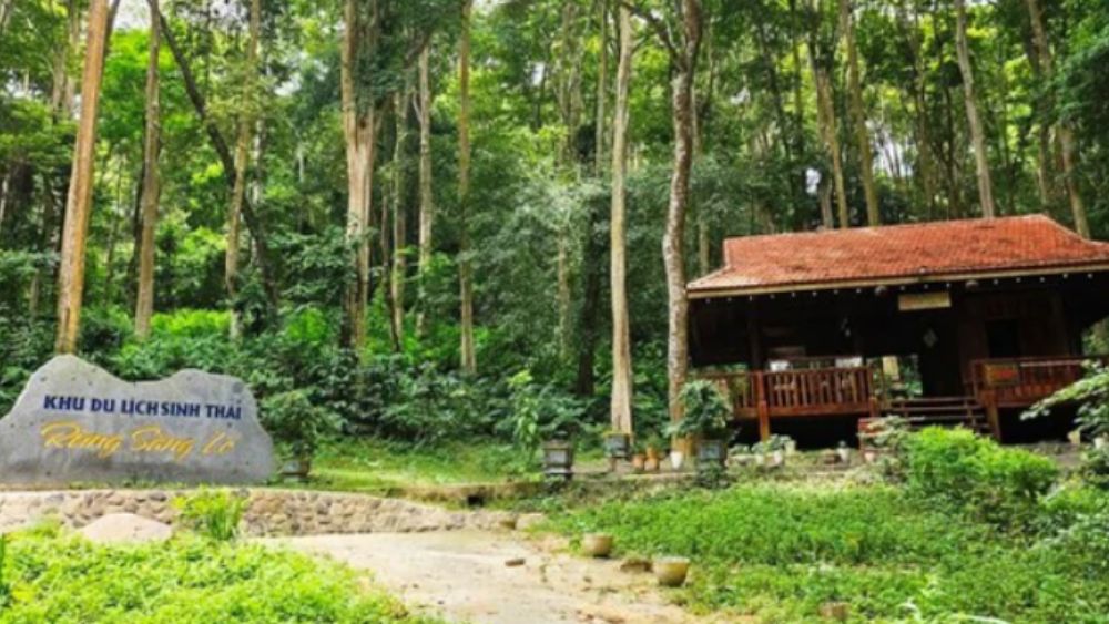 Khu rừng sát quốc lộ ở nơi nóng nhất Việt Nam