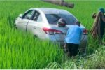Tài xế 57 tuổi tử vong sau khi ô tô lao xuống ruộng lúa ở Nghệ An