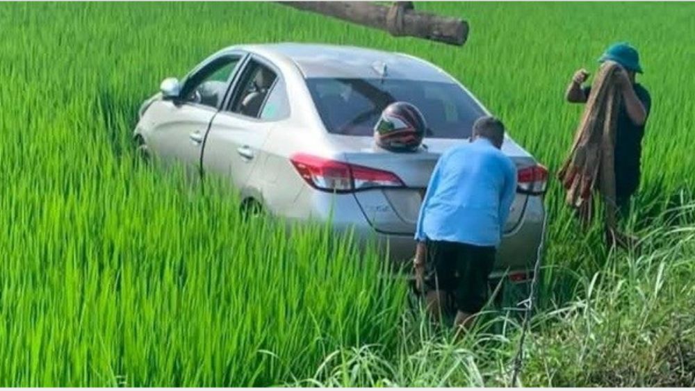: Tài xế tử vong sau khi ô tô lao xuống ruộng