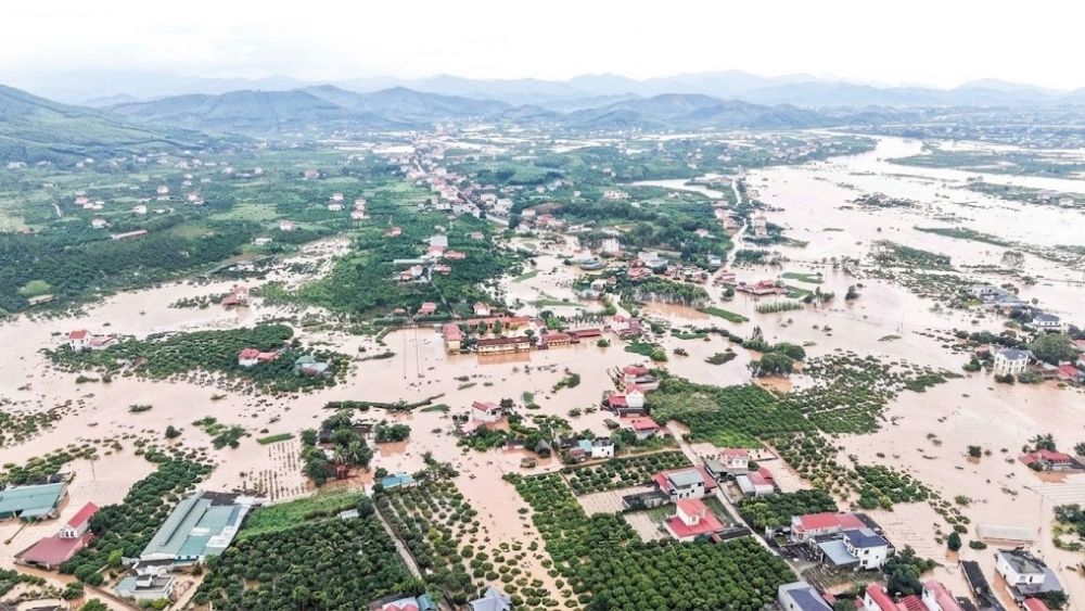 Mưa lũ nhấn chìm hàng trăm hecta cây ăn quả ở Bắc Ninh. Nước rút, người phun ngâm tài giải đáp nhưng lo lắng mất mùa dịch tới.