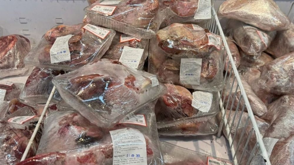 Việt Nam nhập khẩu giá gần 0,5 triệu tấn thịt chỉ từ 77.500 đồng/kg, tạo áp lực để tạo ra giá thịt trong nước giảm sâu.
