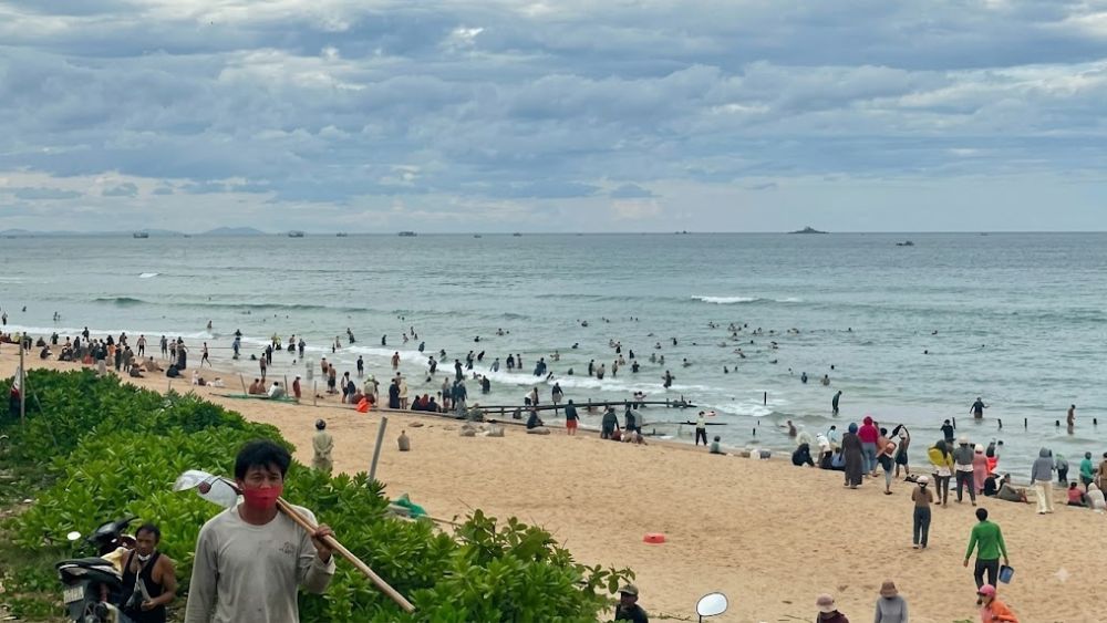 Hồ nuôi sóng lớn bị vỡ, hàng trăm người tắc ra bãi biển lặn bắt ốc hương lưu ngoài, mặc cho chủ ao bất lực chịu thiệt hại nặng nề.