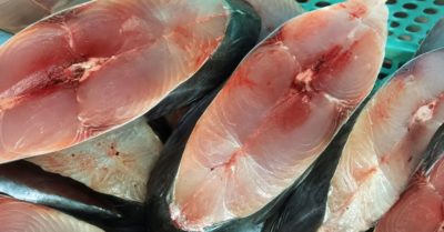 5 loại cá chợ Việt giá bình dân nhưng dinh dưỡng không thua cá hồi