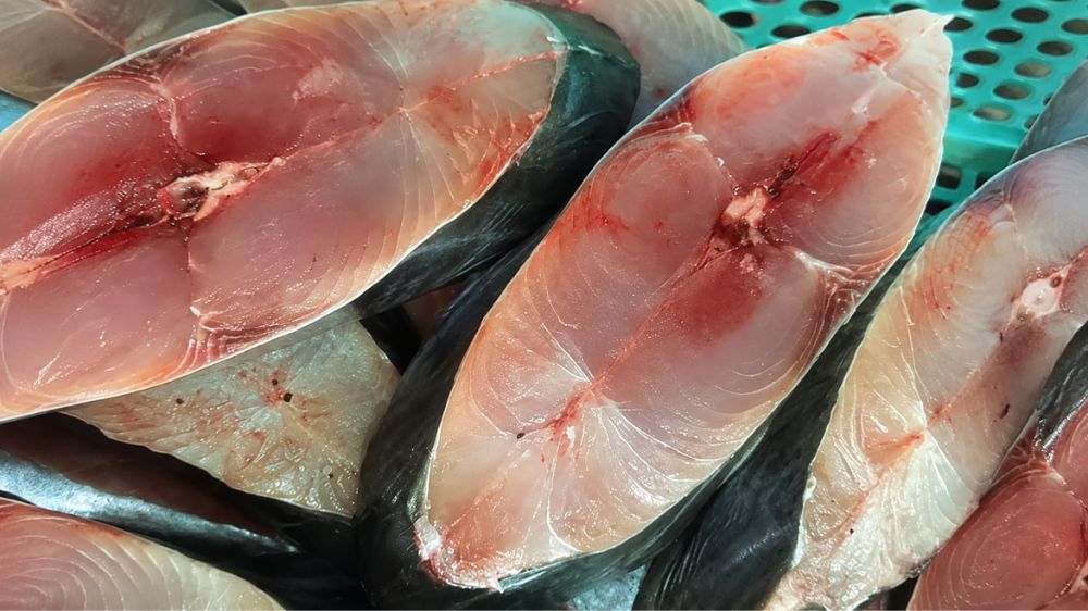 5 loại cá giá rẻ như cá cơm, cá thu, cá rô phi, cá chép, cá nục giàu protein và nhiều dưỡng chất, dễ tìm mua.