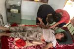 Người phụ nữ hôn mê sau khi bị ong vò vẽ đốt gần 20 nốt
