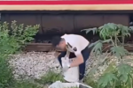 Tàu SE20 va chạm người đàn ông ở Thanh Hóa, nạn nhân tử vong