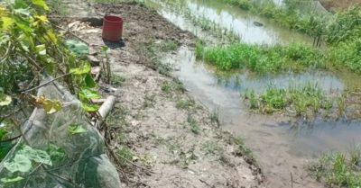 Hai vợ chồng tử vong khi dùng điện bắt cá trước nhà ở Hải Phòng