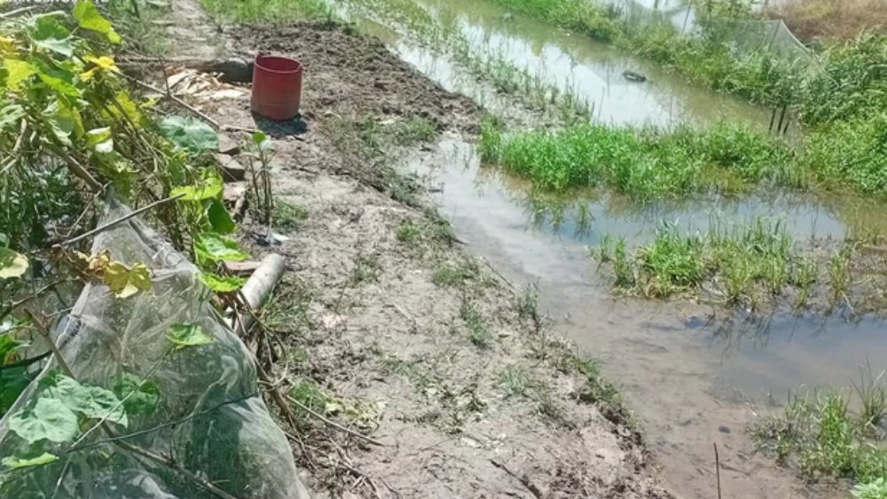 Khu vực hai vợ chồng gặp nạn khi bắt cá.