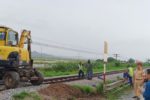 Nghệ An siết an toàn đường sắt, xóa 5 lối đi tự mở tại Hùng Châu