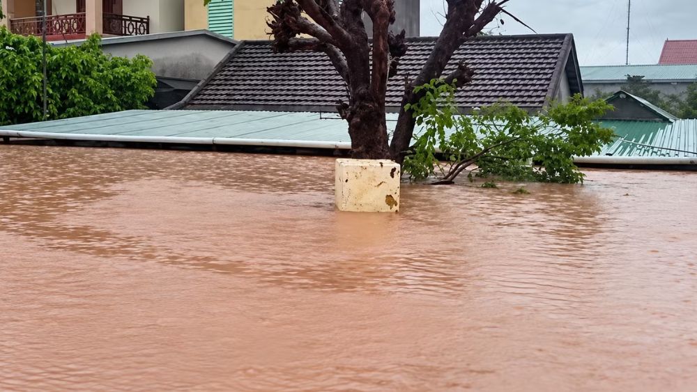 Mưa lũ Quảng Trị gây ngập sâu nhà dân